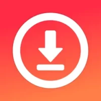 Video Downloader - Story Saver